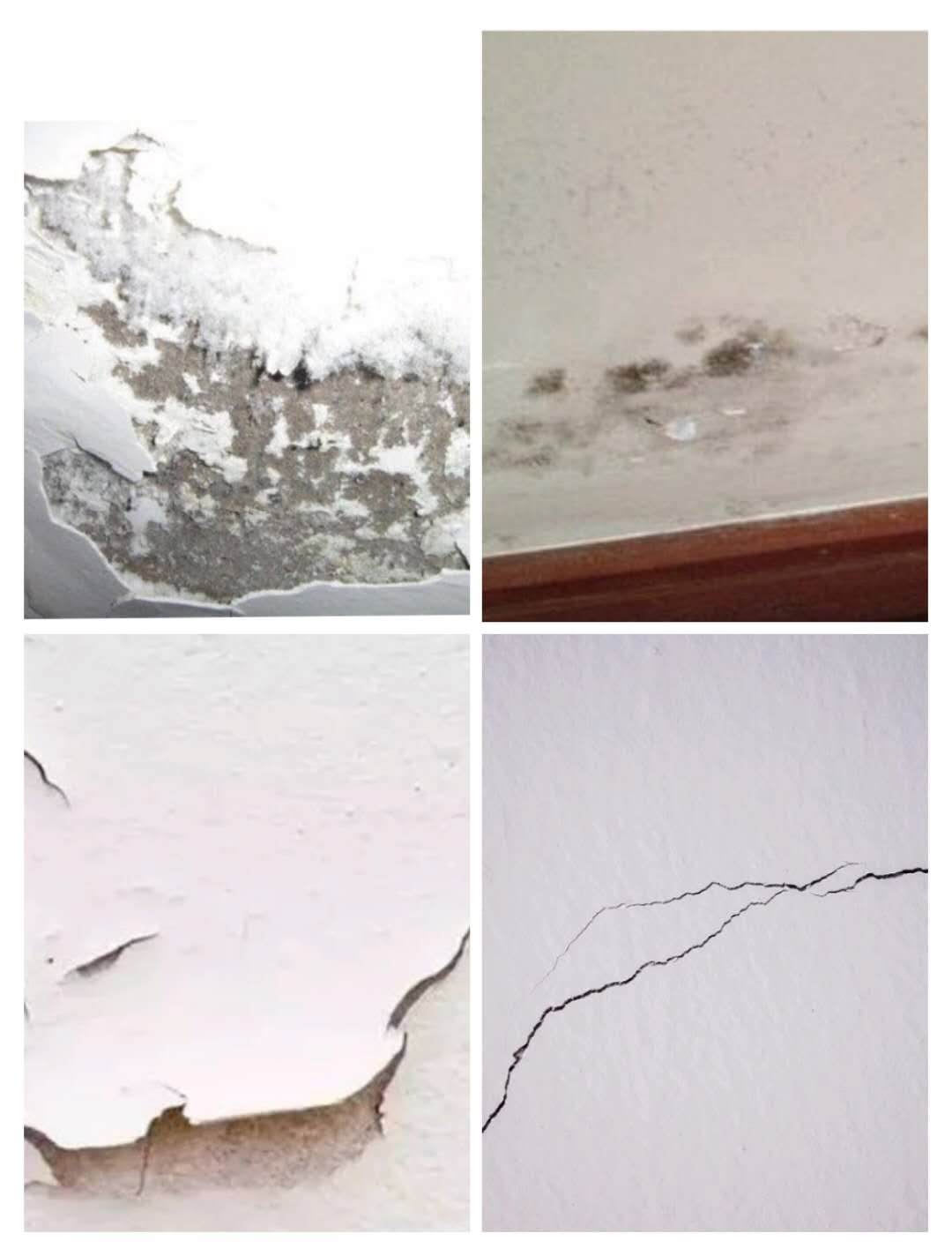 1604126206602135.jpg 微信圖片_20201012114739.jpg